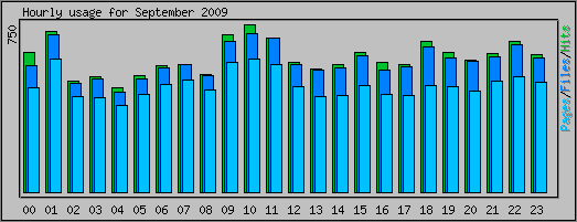 Hourly usage