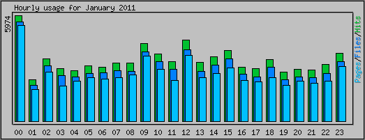 Hourly usage