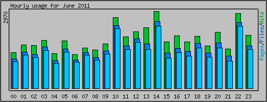 Hourly usage