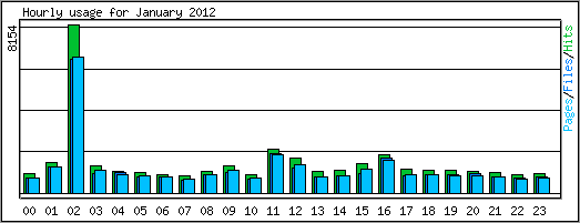 Hourly usage