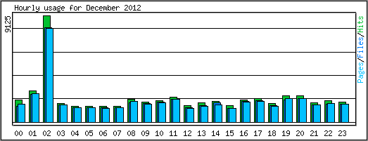 Hourly usage