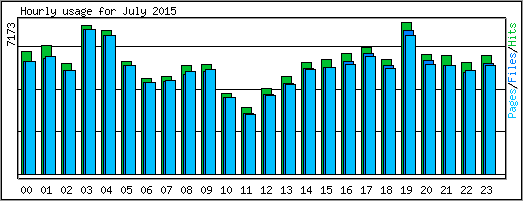 Hourly usage