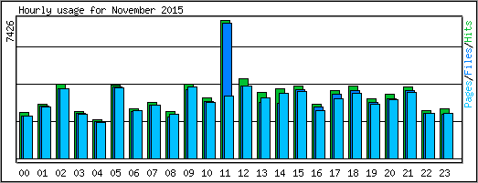 Hourly usage