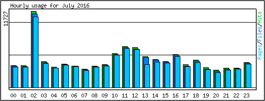 Hourly usage