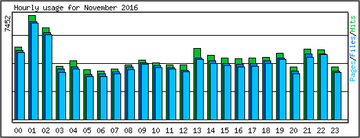 Hourly usage