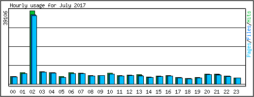 Hourly usage