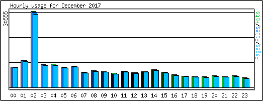 Hourly usage