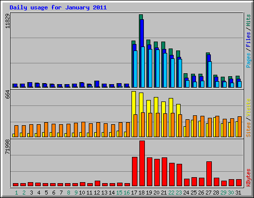 Daily usage for January 2011