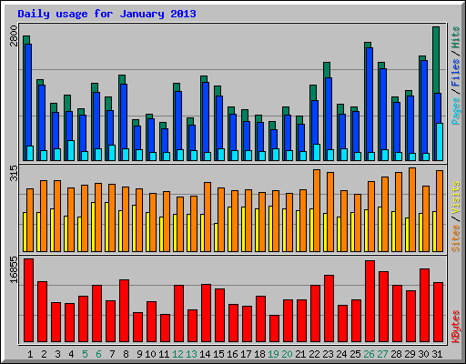 Daily usage for January 2013