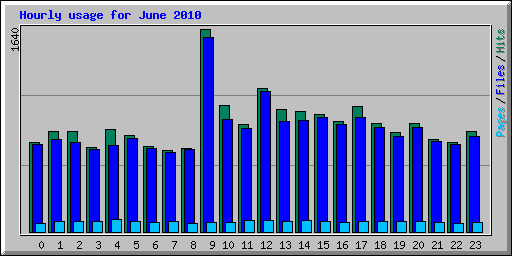 Hourly usage for June 2010