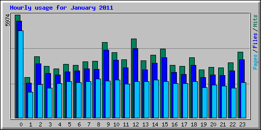 Hourly usage for January 2011