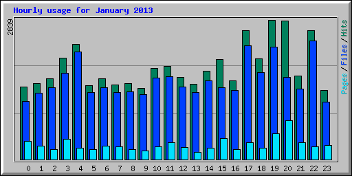 Hourly usage for January 2013