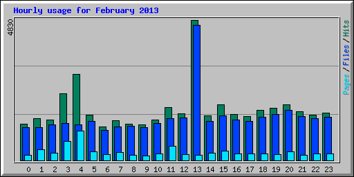 Hourly usage for February 2013