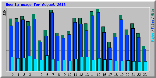 Hourly usage for August 2013