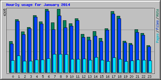 Hourly usage for January 2014