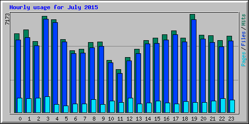 Hourly usage for July 2015