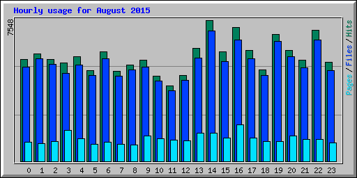 Hourly usage for August 2015