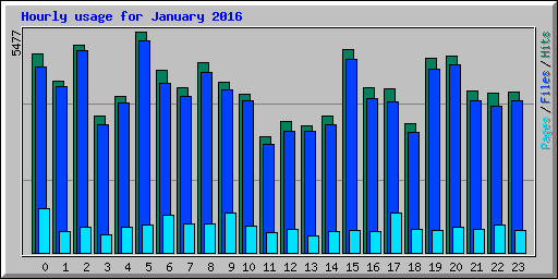 Hourly usage for January 2016