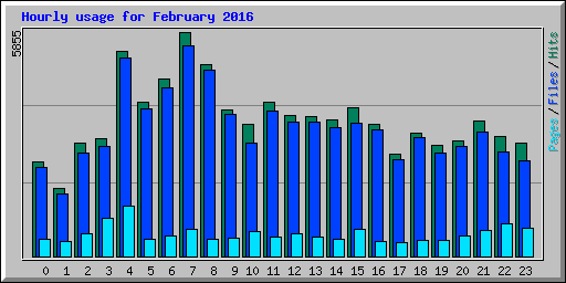 Hourly usage for February 2016