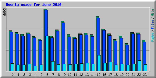 Hourly usage for June 2016