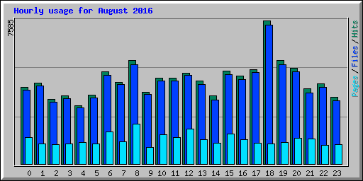 Hourly usage for August 2016