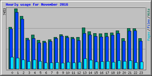 Hourly usage for November 2016