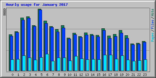 Hourly usage for January 2017