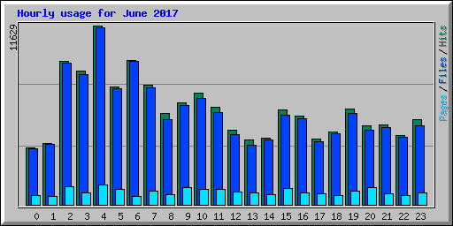 Hourly usage for June 2017