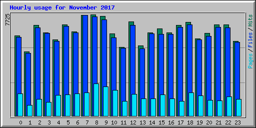 Hourly usage for November 2017